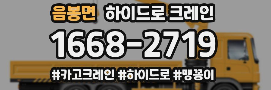 음봉면 하이드로 크레인