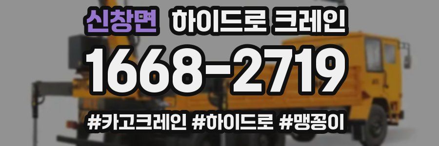 신창면 하이드로 크레인