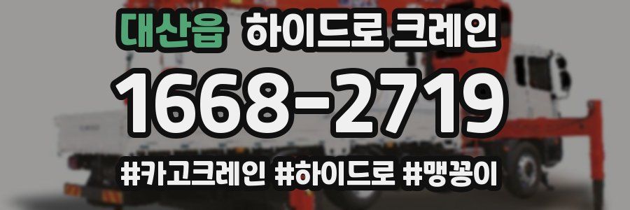 대산읍 하이드로 크레인