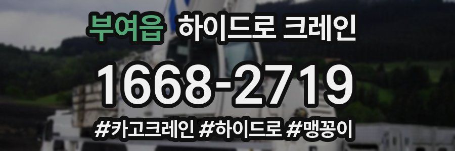부여읍 하이드로 크레인