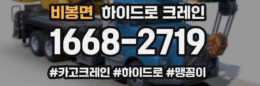 비봉면 하이드로 크레인