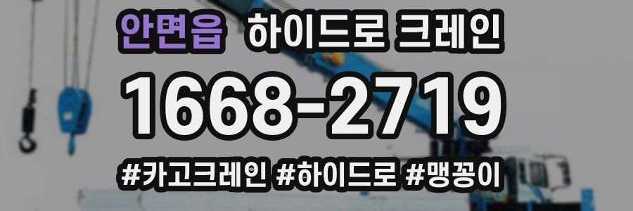 안면읍 하이드로 크레인