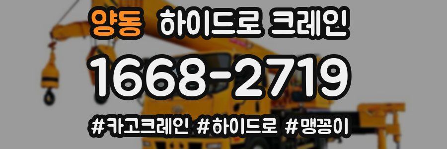양동 하이드로 크레인