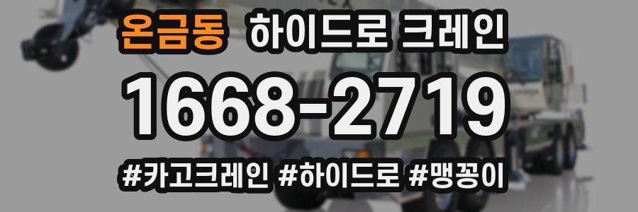 온금동 하이드로 크레인