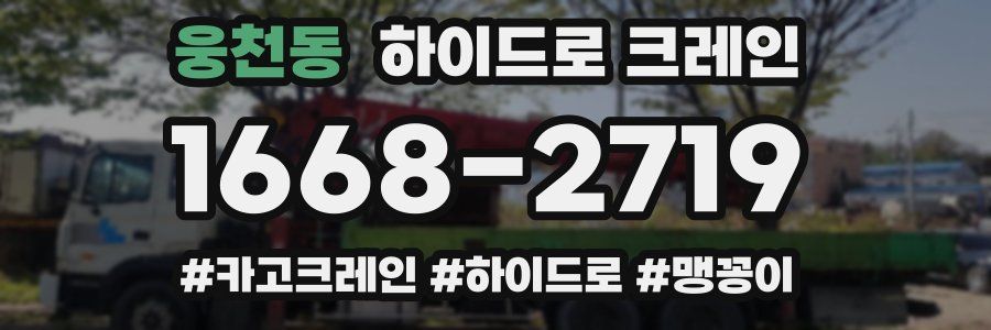 웅천동 하이드로 크레인