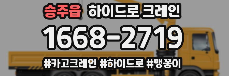 승주읍 하이드로 크레인