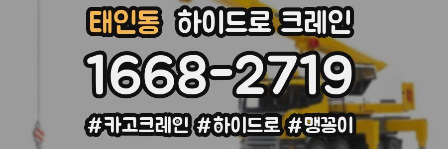 태인동 하이드로 크레인