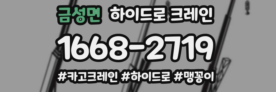 금성면 하이드로 크레인