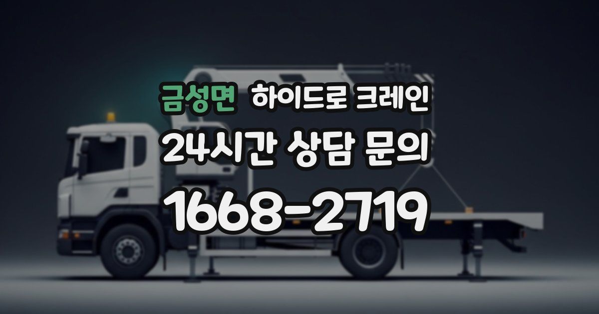 금성면 하이드로 크레인