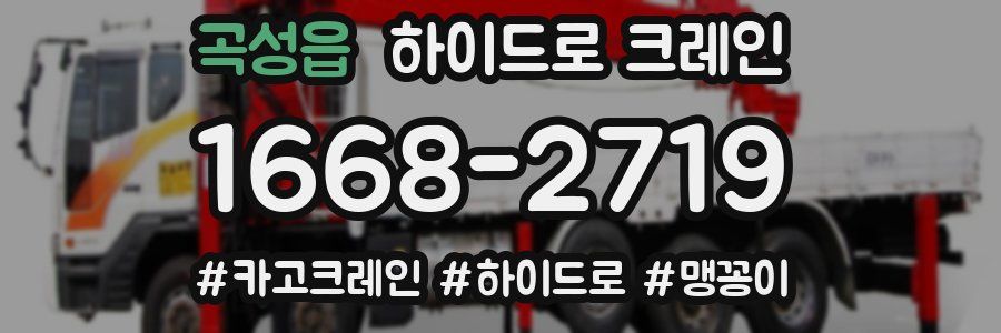 곡성읍 하이드로 크레인