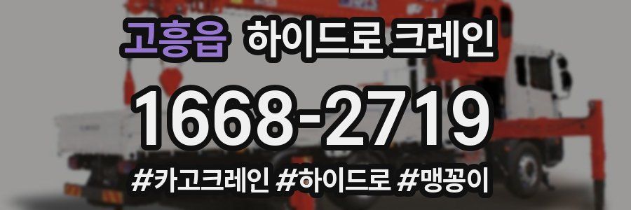 고흥읍 하이드로 크레인