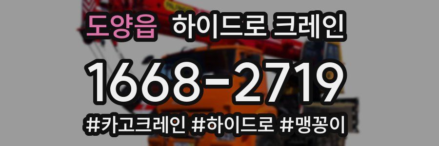 도양읍 하이드로 크레인