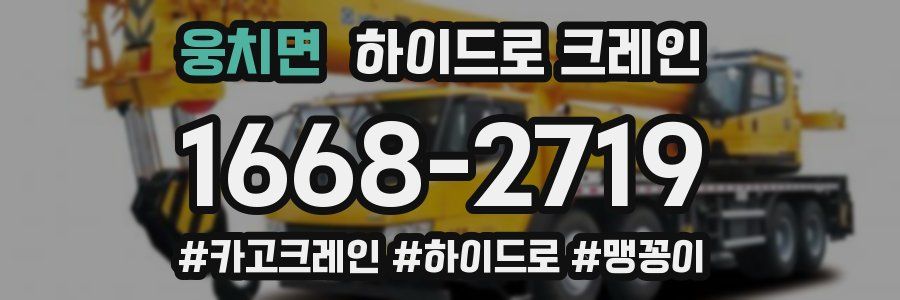 웅치면 하이드로 크레인