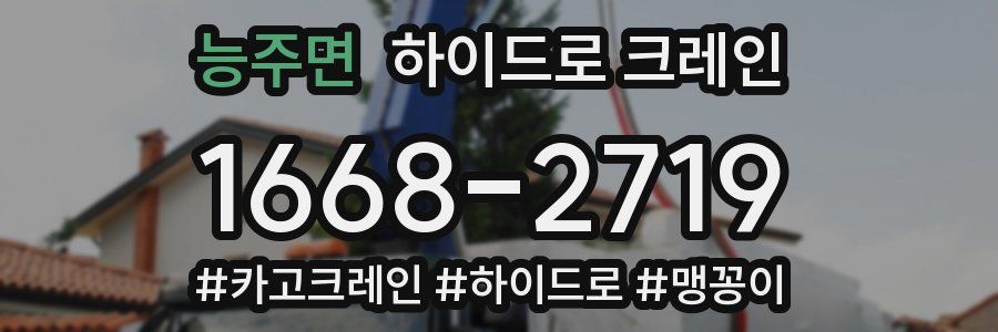 능주면 하이드로 크레인