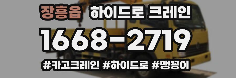 장흥읍 하이드로 크레인