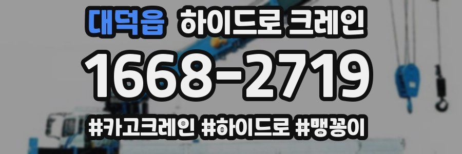 대덕읍 하이드로 크레인