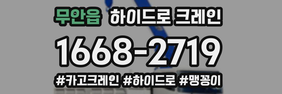 무안읍 하이드로 크레인