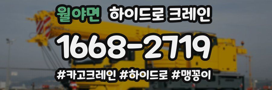 월야면 하이드로 크레인