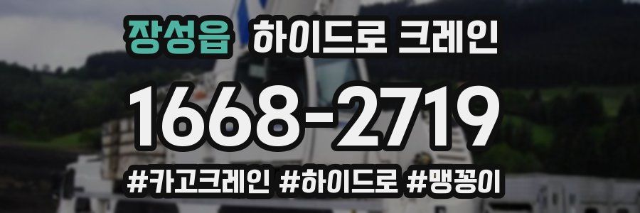 장성읍 하이드로 크레인