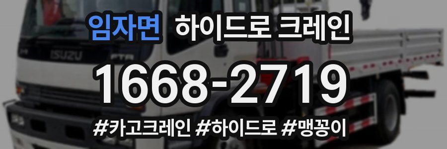 임자면 하이드로 크레인