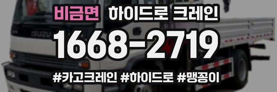 비금면 하이드로 크레인