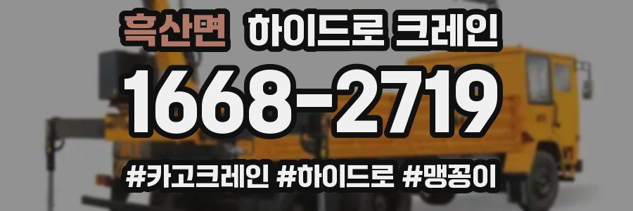 흑산면 하이드로 크레인