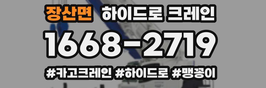 장산면 하이드로 크레인