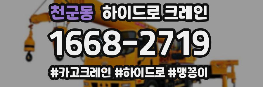 천군동 하이드로 크레인