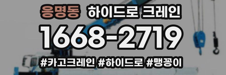 응명동 하이드로 크레인