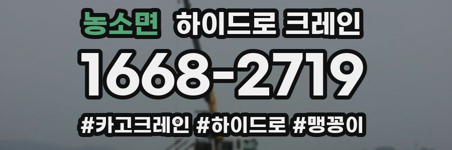 농소면 하이드로 크레인