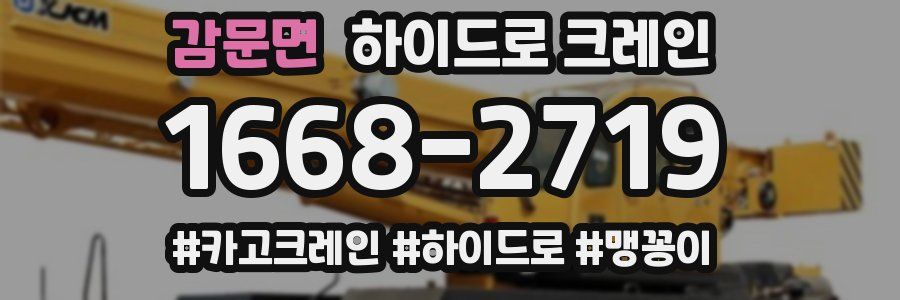 감문면 하이드로 크레인