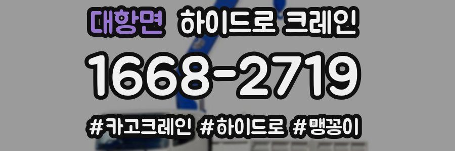 대항면 하이드로 크레인