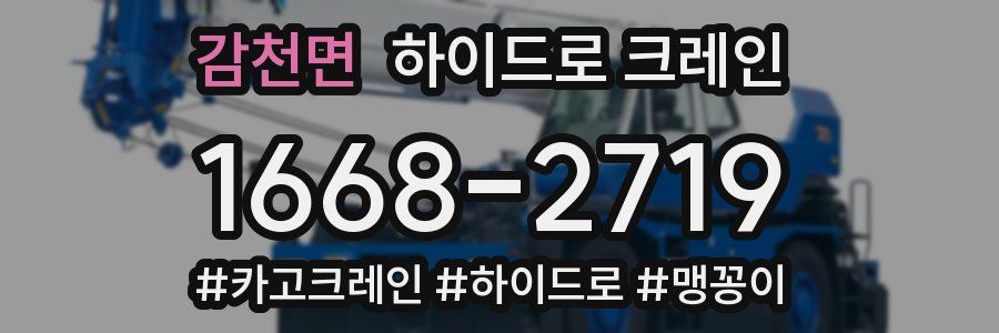 감천면 하이드로 크레인