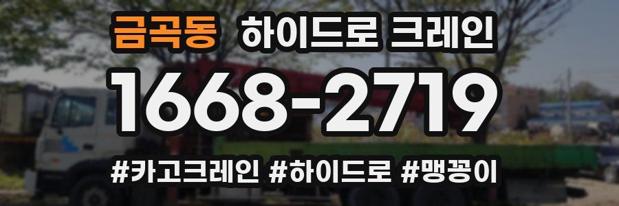 금곡동 하이드로 크레인