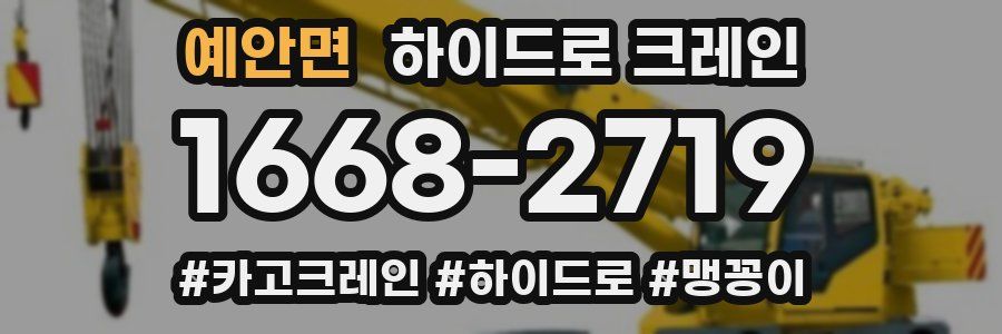 예안면 하이드로 크레인