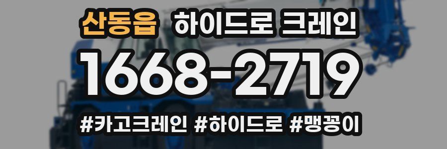 산동읍 하이드로 크레인