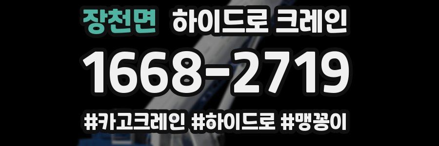 장천면 하이드로 크레인