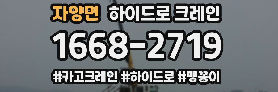 자양면 하이드로 크레인