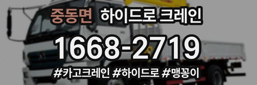 중동면 하이드로 크레인