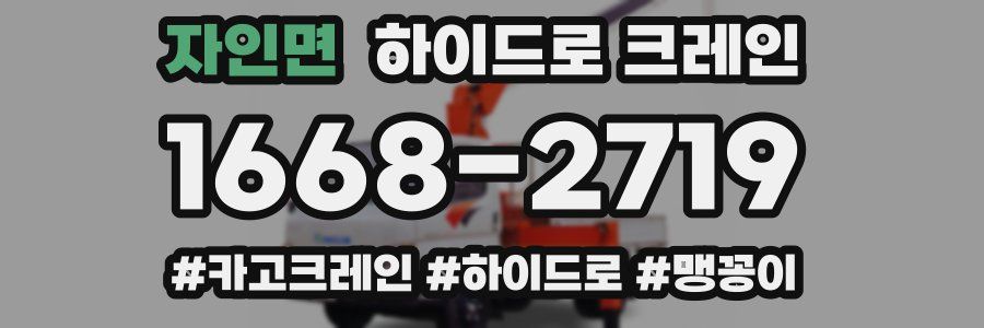 자인면 하이드로 크레인