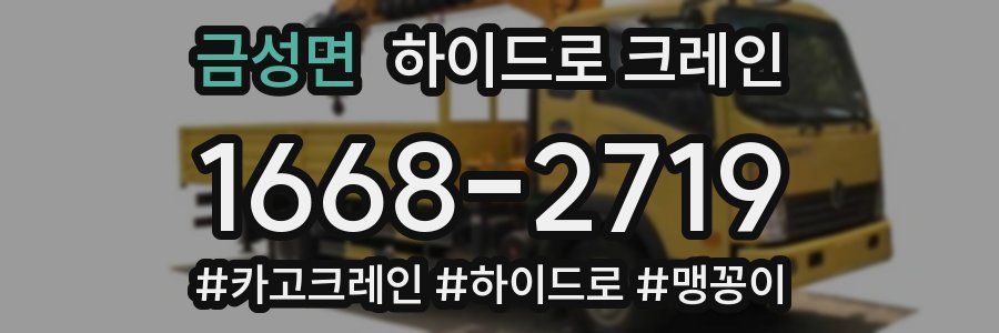 금성면 하이드로 크레인