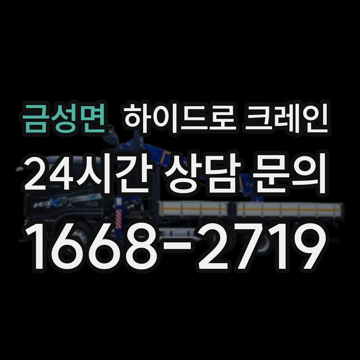 금성면 하이드로 크레인