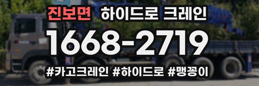 진보면 하이드로 크레인