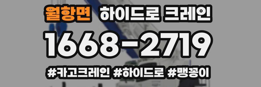 월항면 하이드로 크레인