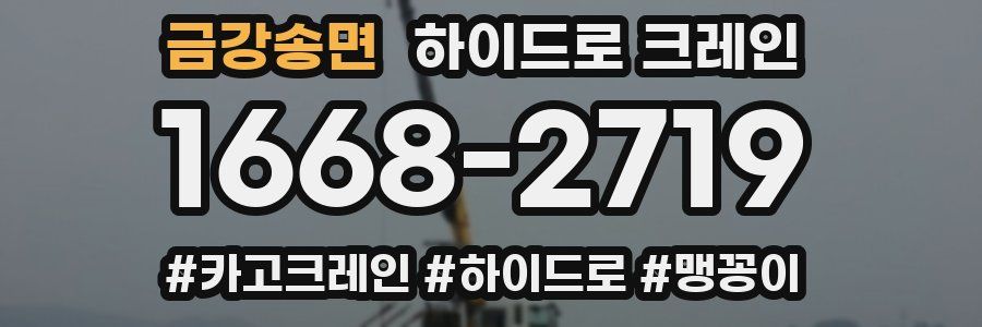 금강송면 하이드로 크레인