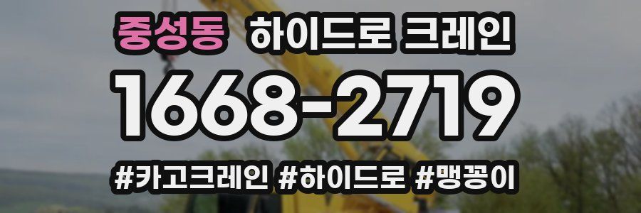 중성동 하이드로 크레인