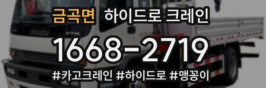 금곡면 하이드로 크레인