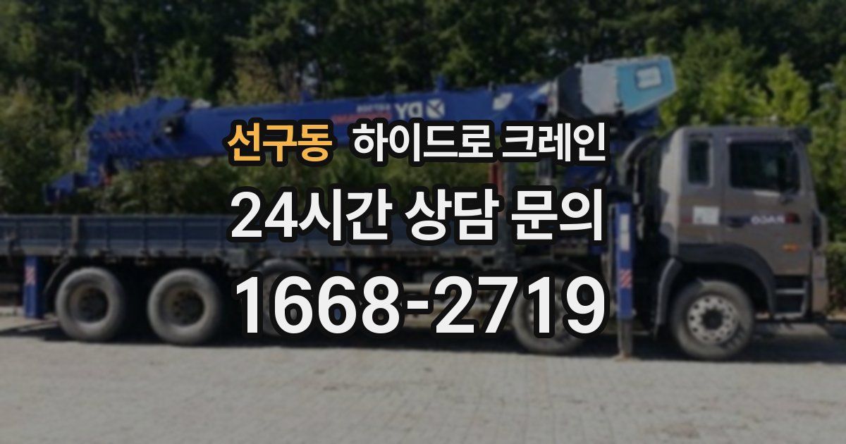 선구동 하이드로 크레인