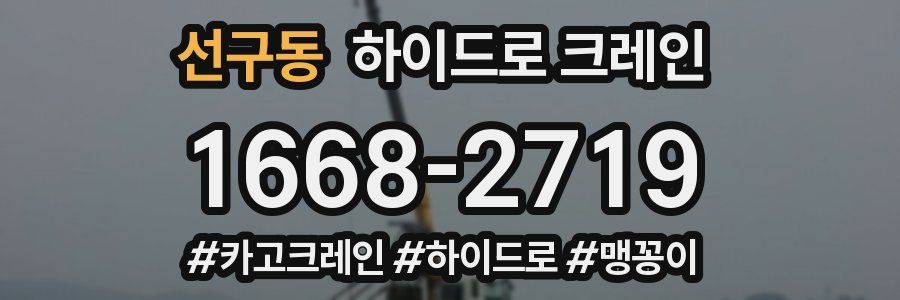 선구동 하이드로 크레인