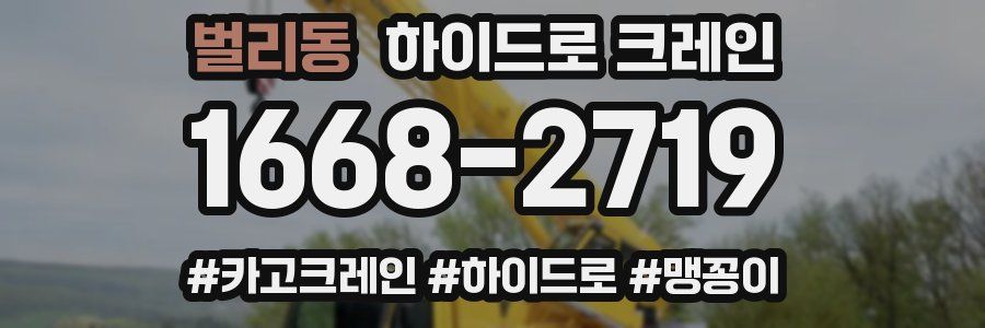 벌리동 하이드로 크레인